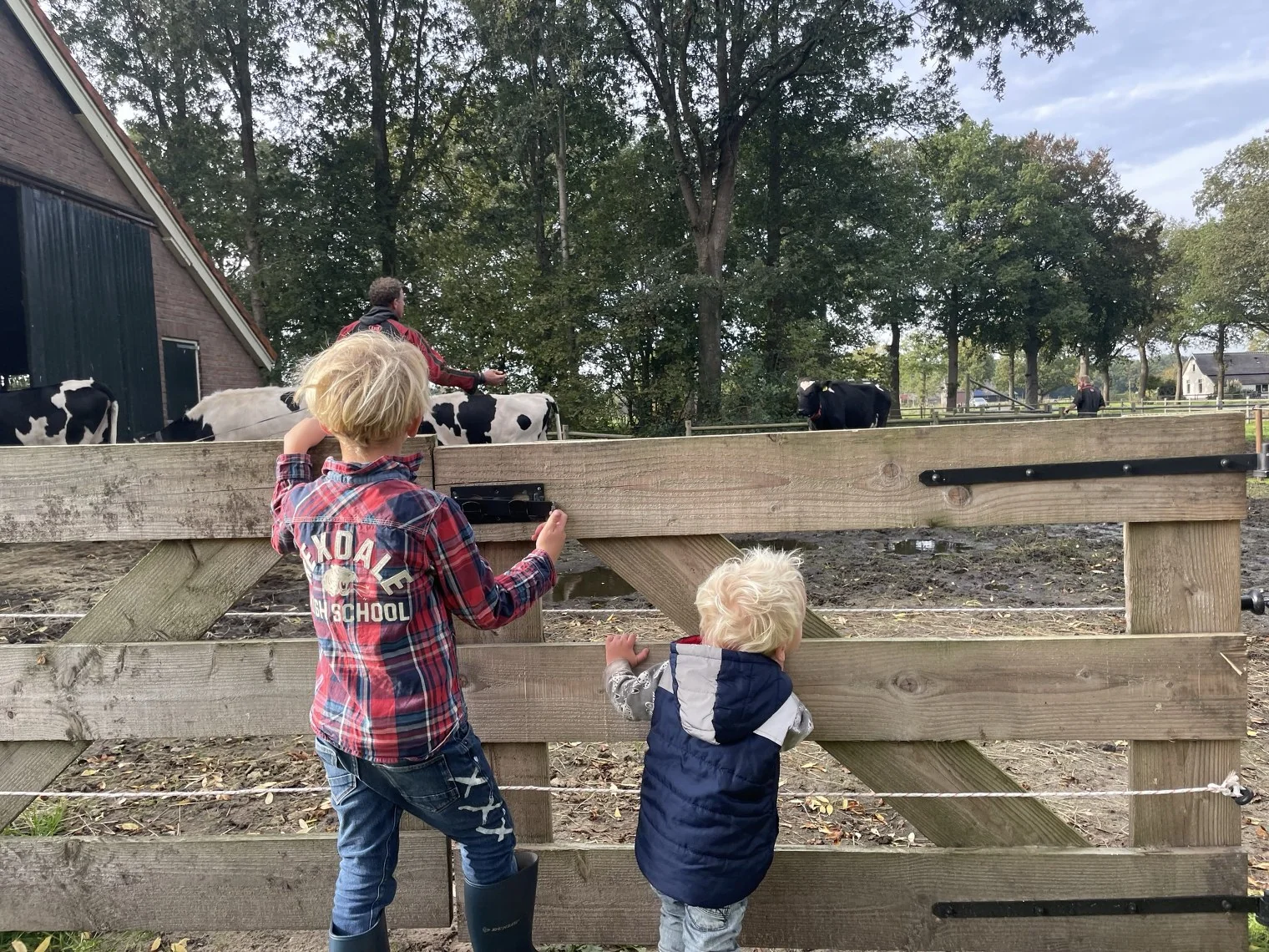 Twee kinderen bij een houten hek met koeien erachter.